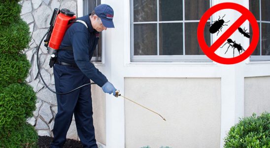 Çerkezköy Dezenfeksiyon böcek ilaçlama ve haşere kontrolü — ilaclama-tr.com
